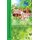 Tuck Everlasting (Paperback): Claudia Shear, Tim Federle