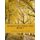 Hymns For String Trio Book I - violin, viola, and cello (Paperback): Case Studio Productions