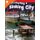 Protecting a Sinking City (Paperback): Ben Nussbaum