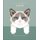 The Little Book of Cats - Purrs of Wisdom (Hardcover): Orange Hippo!