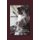 Shattered Dreams Memoirs of a Broken Wife (Paperback): C Letty Zea