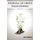JOURNAL OF GREEN ENGINEERING Vol. 1 No. 4 (Paperback): Dina Simunic