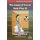 The Angel of Terror / Kate Plus 10 (Paperback): Edgar Wallace