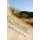 Coaching High School Cross Country - A cosching manual for beginning high school cross country coaches (Paperback): Rodney L...