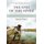 The End Of The River - Strangling the Rio Sao Francisco (Paperback): Brian Harvey