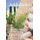 Addictions 2 - Concepts et modeles theoriques (French, Paperback): Lydia Fernandez