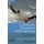 Contemporary Occupational Health Psychology - Global Perspectives on Research and Practice, Volume 1 (Hardcover, Volume 1): J....