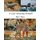 A is for Amazing Animals (Paperback): Pace
