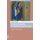 Viewing Disability in Medieval Spanish Texts - Disgraced or Graced (Hardcover, 0): Connie Scarborough