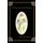 The Lady of the Deadly Nightshade (Paperback): Hector R. Briceno