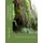 History of Chautauqua Springs, Kansas (Paperback): Mary Howard