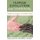 Human Evolution and Survival (Hardcover): Ellis E McDowell-Loudan