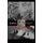 fearless - Lords of the Murderdrome (Paperback): Lane Ongstad, Rick Ongstad