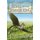 Song of the Summer King - Book I of the Summer King Chronicles, Second Edition (Paperback): Jennifer Miller