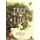The Tree of Life (Board book): Nalini Nadkarni