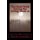 The Dead Walk Among the Living - Book 12 (Paperback): Keith Adam Luethke