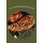 Low Carb Chicken Recipes on the Grill - Grilling Barbecue and Grilled Chicken on Your Outdoor Grill (Paperback): Laura Sommers