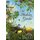 The Medicine Garden (black & white edition) (Paperback): Rachel Corby