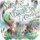 Spirits of the Northern Lights (Paperback): Skye Durocher
