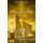 Les mines d'or du Roi Salomon (French, Paperback): Jacques Rolland