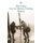 Fast ein bisschen Fruhling (German, Paperback): Alex Capus