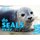 Do Seals Ever . . . ? (Hardcover): Fran Hodgkins