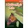 A Butterfly's Life (Paperback, 2nd edition): Dona Herweck Rice