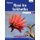 Platinum Nasi-ke Isikhethu Grade 9 Learner's Book (IsiNdebele Home Language): Grade 9: Learner's book (Paperback):...