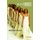 The Cult of Thinness (Paperback, 2nd Revised edition): Sharlene Nagy Hesse-Biber