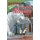 Ballpark Mysteries #11: The Tiger Troubles (Paperback): David A. Kelly