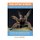 Bird Eating Spiders - Bird Eating Tarantula breeding, where to buy, types, care, temperament, cost, health, handling, diet, and...