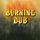 Revolutionairies - Burning Dub (Vinyl record): Revolutionairies