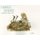 Scott C. Blank Boxed Notecards (Paperback): Scott Campbell