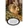 The Burgess Animal Book for Children (Hardcover): Thornton Burgess