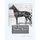 The American Trotter Horse - The Origin, History and Development of the American Trotting Horse (Paperback): S. W. Parlin