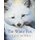 The White Fox (Paperback): Jackie Morris