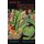 How to Grow Food - A Wartime Guide (Hardcover): Doreen Wallace