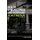 Health, Healing and Hurricane Katrina (Hardcover): Imanni Sheppard