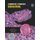Diagnostic Pathology - Endocrine (Hardcover, Annotated Ed): Vania Nose, Sylvia L. Asa, Lori A. Erickson, Beatriz S. Lopes,...