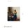 Vermeer (Paperback): Wayne Franits