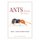 Ants of Africa and Madagascar - A Guide to the Genera (Paperback, First Edition, Vol. 2 ed.): Brian L. Fisher, Barry Bolton