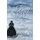 Gray Skies - A Civil War Legend of Family Courage (Paperback): David Self