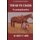 Thad Tucker - Wyoming Rancher (Paperback): Karen Carr