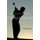 The Science of the Perfect Swing (Hardcover): Peter Dewhurst