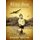 Blitz Boy - Testament of an Evacuee (Paperback): Robert Trevor
