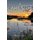 A Lakeside Companion (Hardcover): Ted J. Rulseh