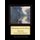 Morning on the Seine - Monet cross stitch (Paperback): Kathleen George, Cross Stitch Collectibles