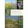 Wildflowers of the Adirondacks (Paperback): Donald J. Leopold, Lytton John Musselman