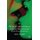 The Social Construction of Sexuality and Perversion - Deconstructing Sadomasochism (Hardcover): A Beckmann
