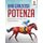 Una Graziosa Potenza - Adulto Da Colorare Libro Cavalli Edition (Italian, Paperback): Coloring Bandit